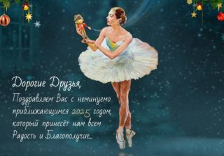 Ледовое шоу «Щелкунчик» во Владивостоке отменено второй год подряд