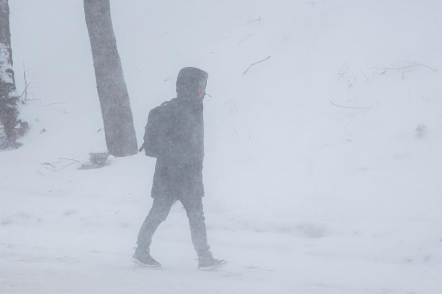 Фото: PRIMPRESS | Завалит капитально: синоптики назвали дату мощного снегопада в Приморье