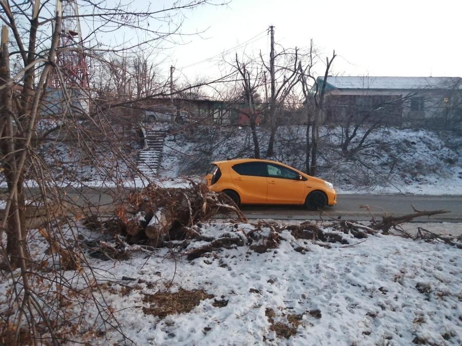 В Приморье первоклассница попала под колеса автомобиля и получила серьезные травмы