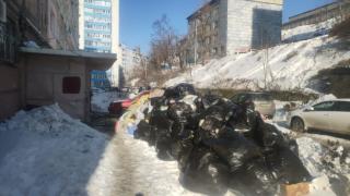 Фото: PRIMPRESS | Прокуратура Владивостока выявила нарушения сроков вывоза ТБО