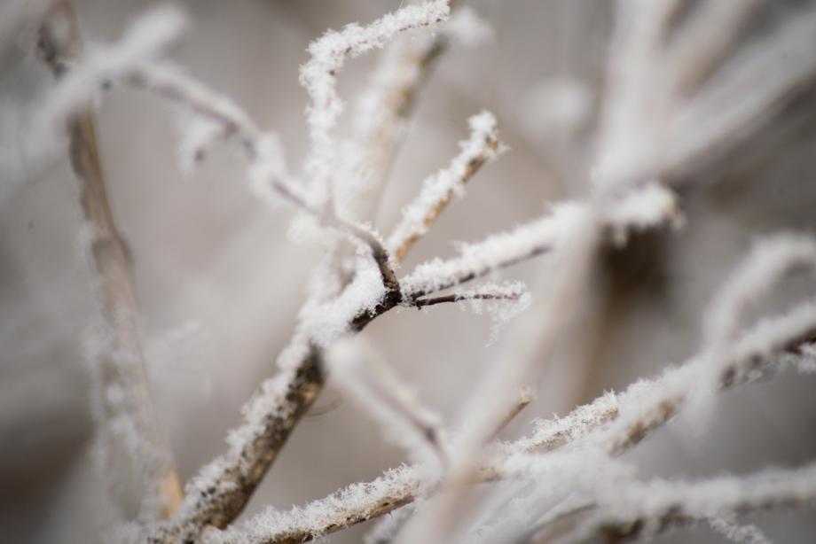 Почти -40: страшные морозы ударили в Приморье