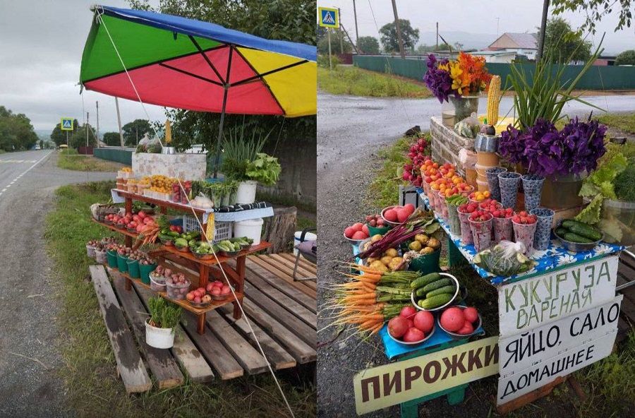 Трасса, которая кормит: репортаж с обочины приморского села Нежино