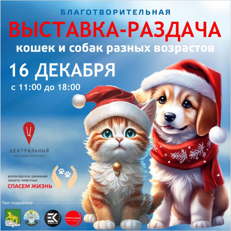 «Пушистые подарки» отдадут желающим во Владивостоке в преддверии Нового года