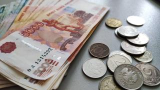 Фото: PRIMPRESS | Почти треть россиян заявили об изменении доходов за время пандемии