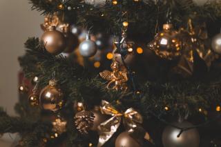 Фото: pixabay.ru | Названы преимущества живой новогодней елки