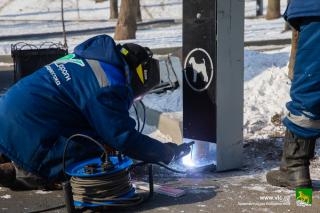 Во Владивостоке появляются дог-боксы