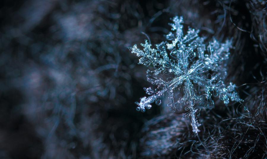 Фото: pexels.com | Зима пришла: в Приморье сегодня заметно похолодает