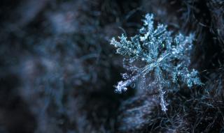 Фото: pexels.com | Зима пришла: в Приморье сегодня похолодало до -23 °C