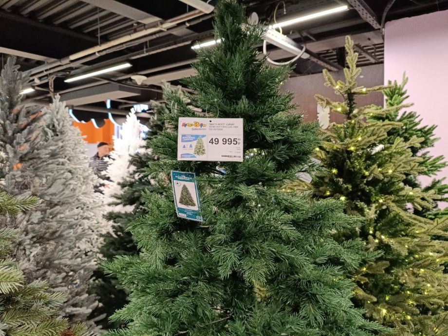 Новый год отменяется? Цены на ёлки во Владивостоке бьют все рекорды