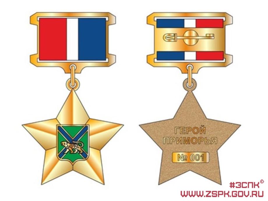Фото: zspk.gov.ru | В Приморье учреждена награда для героев специальной военной операции