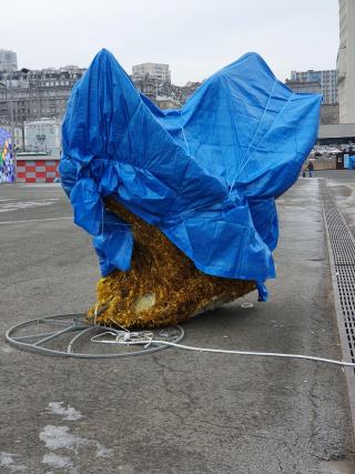 Чиновники накрыли дорогую крысу во Владивостоке