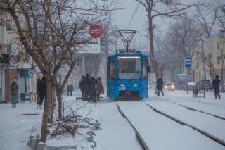 Фото: Татьяна Меель / PRIMPRESS | В отдельных районах Приморья сегодня пройдет снег