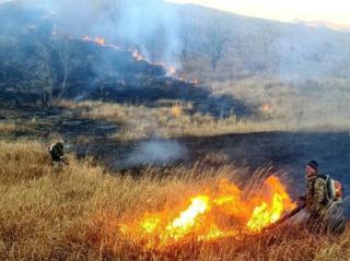 Фото: скриншот amurleo_land | Крупный пожар ликвидирован на границе с нацпарком «Земля леопарда»