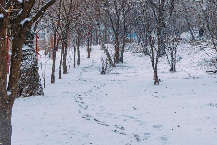 Серьезные морозы ударят по Приморью в последние выходные года