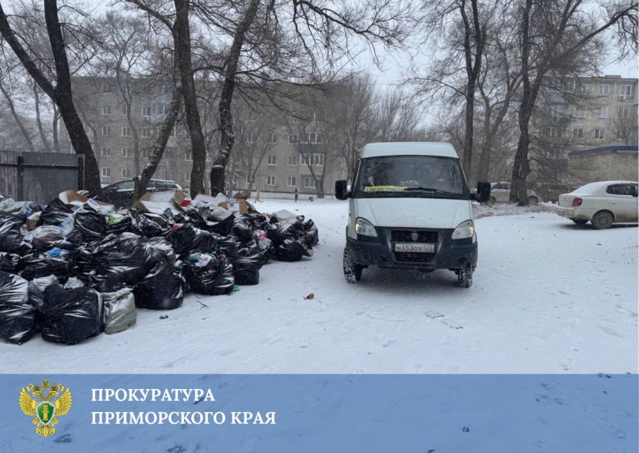 Приморский город Фокино в очередной раз тонет в мусоре