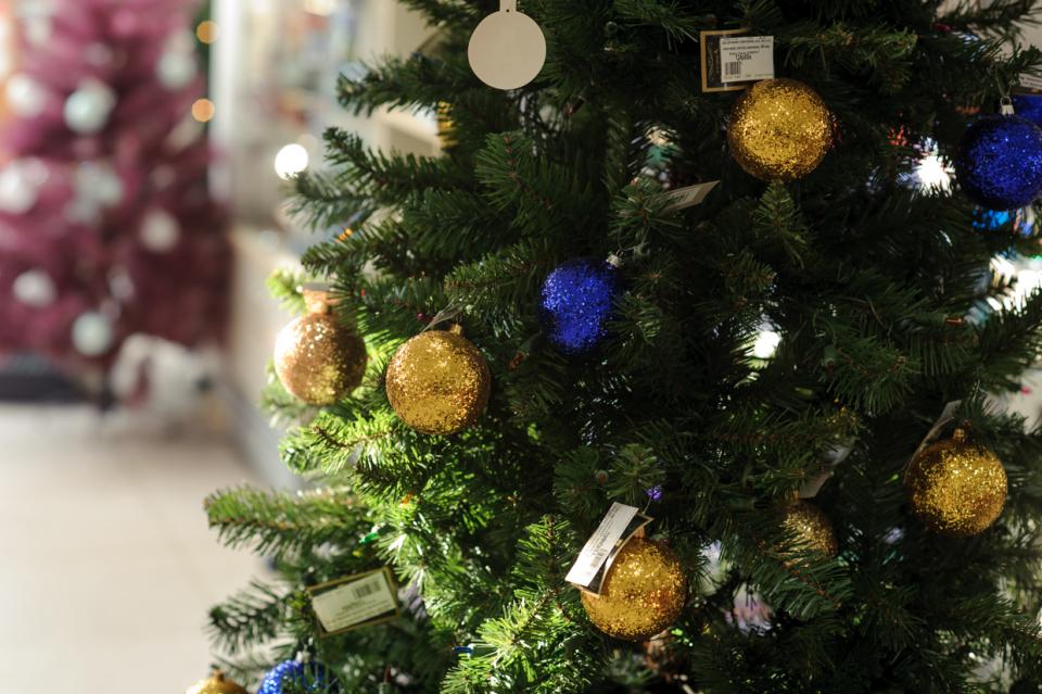 Фото: PRIMPRESS | МЧС дало рекомендации по безопасной установке новогодней елки
