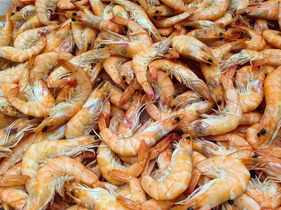 Фото: pixabay.com | В Приморье уничтожат более 170 килограммов морепродуктов и рыбы