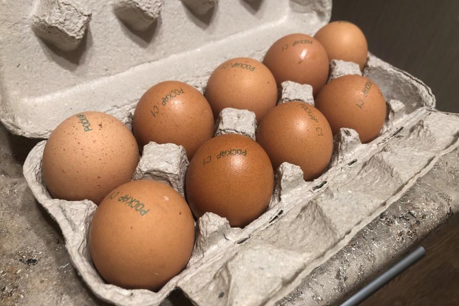Фото: PRIMPRESS | Путина услышали. ФАС «взяла» за яйца региональных производителей
