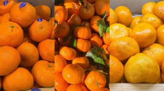 Мандариновое чудо: обзор главного новогоднего фрукта во Владивостоке