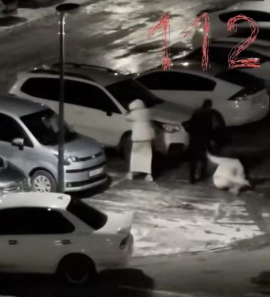 Бесчинство в Приморье: жестокое нападение на девушек