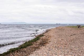 Фото: PRIMPRESS | «Вызывайте скорую»: видео с популярного пляжа Приморья напугало народ