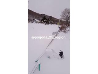 «Вот моя нога, а вот забор»: жительница Приморья показала сугробы на своем участке