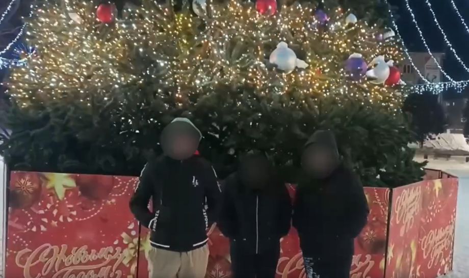 Вандалы разобрали на игрушки новогоднюю елку в Партизанске
