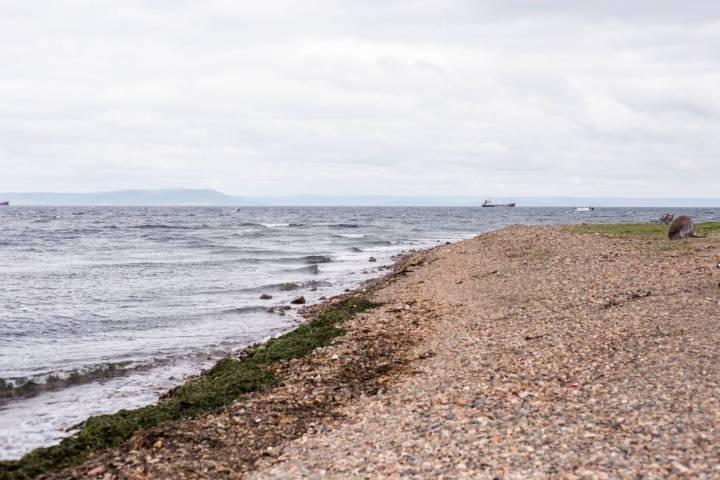 «Море выбрасывает свои сокровища»: что происходит на популярном пляже Владивостока