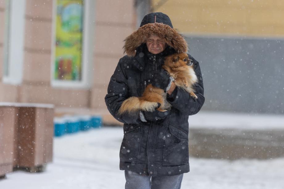Фото: Татьяна Меель / PRIMPRESS | Снег и похолодание: синоптики рассказали о погоде в Приморье в ближайшие сутки