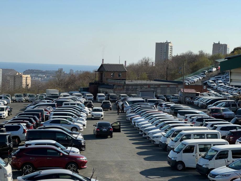 Фото: Ксения Снежинская / PRIMPRESS | «Подорожание более 20%». Что происходит с ценами на японские автомобили в РФ?