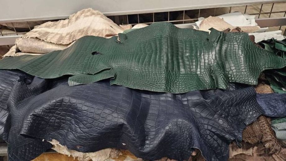 Экзотический гардероб: турист вёз из Китая 55 крокодилов – но только в виде шкур