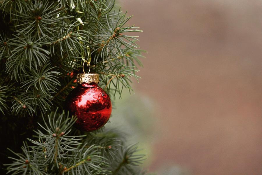 Фото: pixabay.com | Приморцам рассказали, куда можно деть новогоднюю елку после праздников