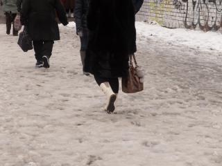 Илья Евстигнеев | 5 преимуществ бесснежной зимы для Владивостока
