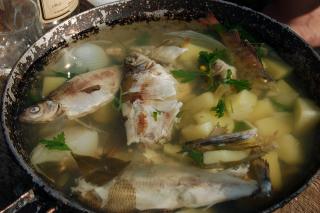 pixabay.com | 5 домашних рецептов популярных блюд из рыбы