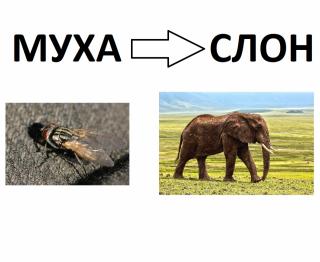 PRIMPRESS | 5 простых игр, которые помогут пережить карантин