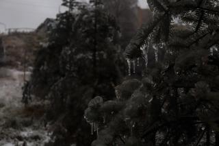 Анастасия Якушева / PRIMPRESS | Что такое ледяной дождь и в чем его опасность?