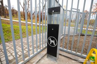 vlc.ru | Прогулка с собакой: 10 простых правил для комфорта и безопасности
