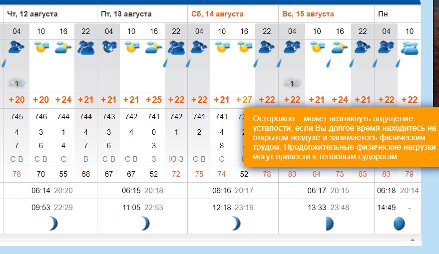 Прогноз погоды прим погода. Жара во Владивостоке. График Владивосток погода за год. Владивосток погода 30 января. Погода Владивосток синоптик Приморский.