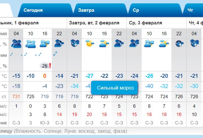 Погода 25 январь