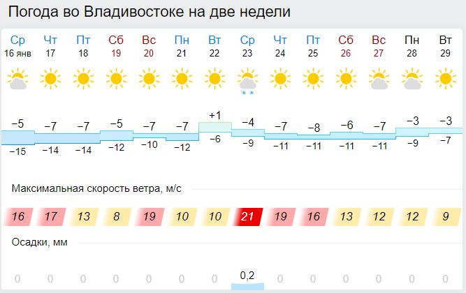 Погода в партизанске на 14 дней. Погода Владивосток сегодня.
