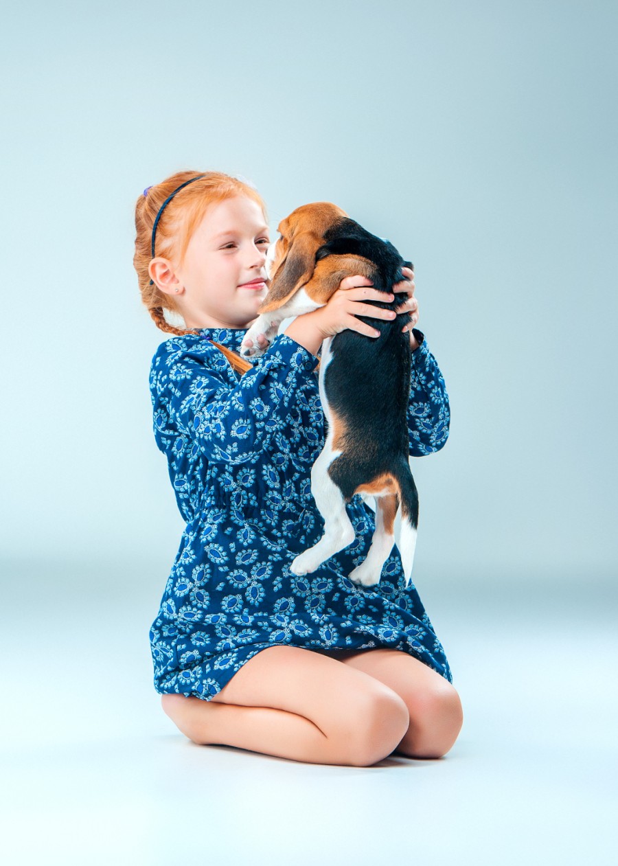 freepik.com | Маленькая собака идеально подойдет для ребенка